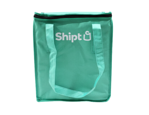 Green Cooler Bag